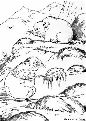 Little Chief's father taught.jpg